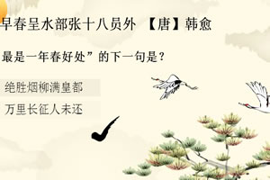 赛车狂飙大逃亡破解版下载